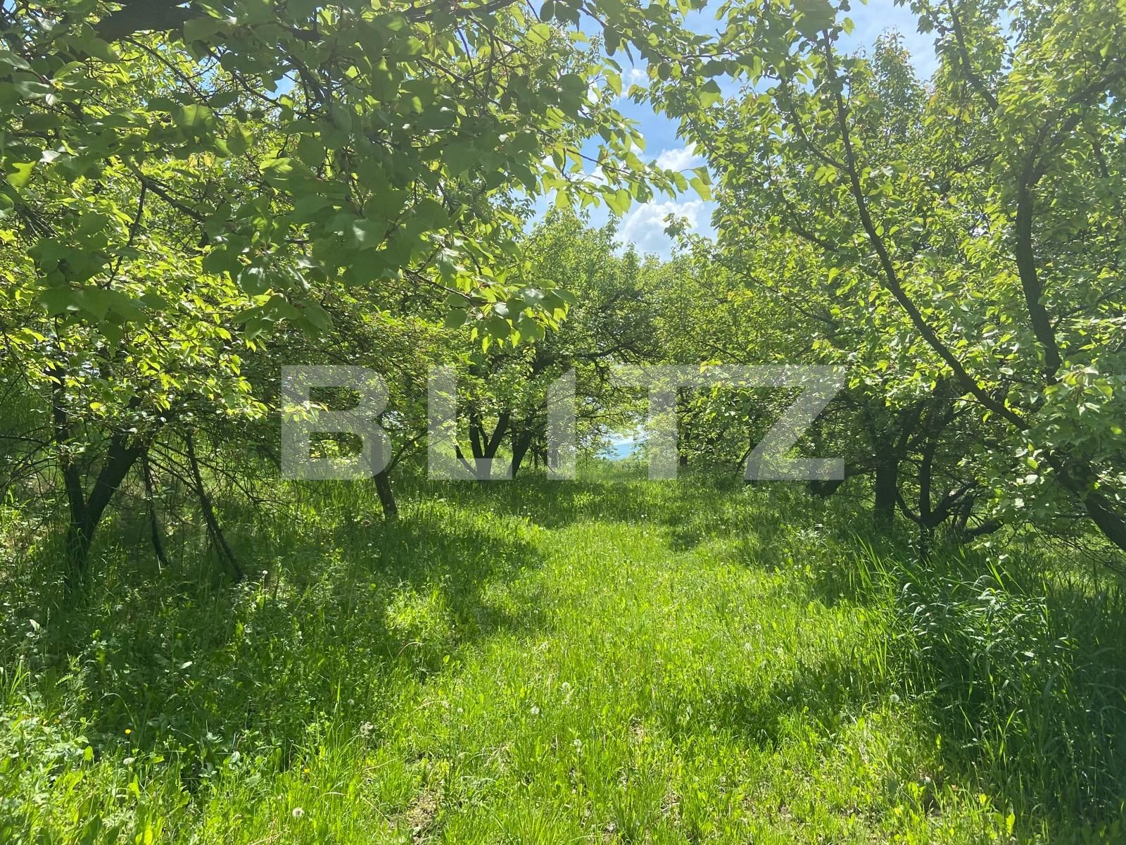 Teren de vânzare Podgoria - 86385TV | BLITZ Oradea | Poza5