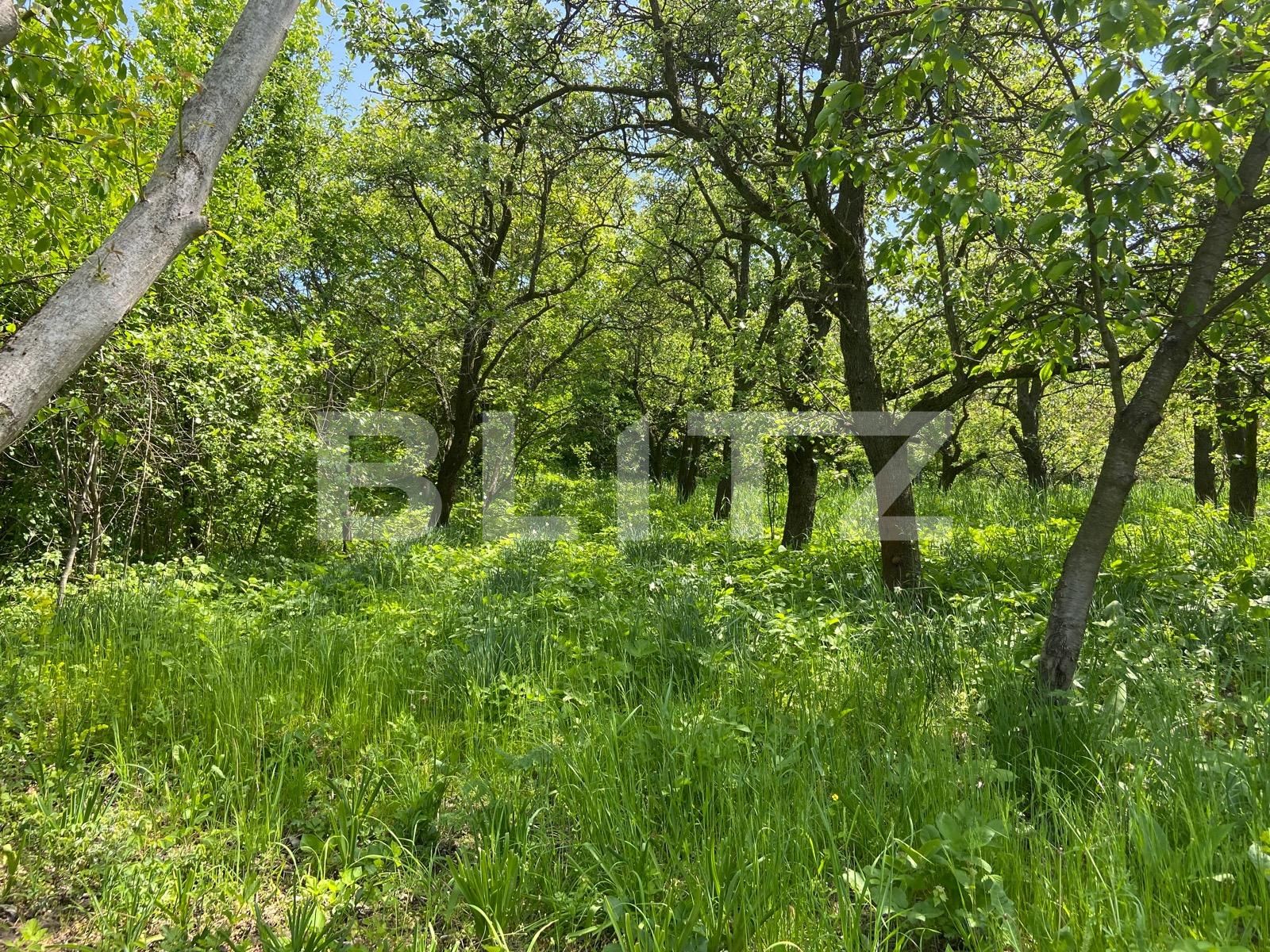 Teren de vânzare Podgoria - 86385TV | BLITZ Oradea | Poza7