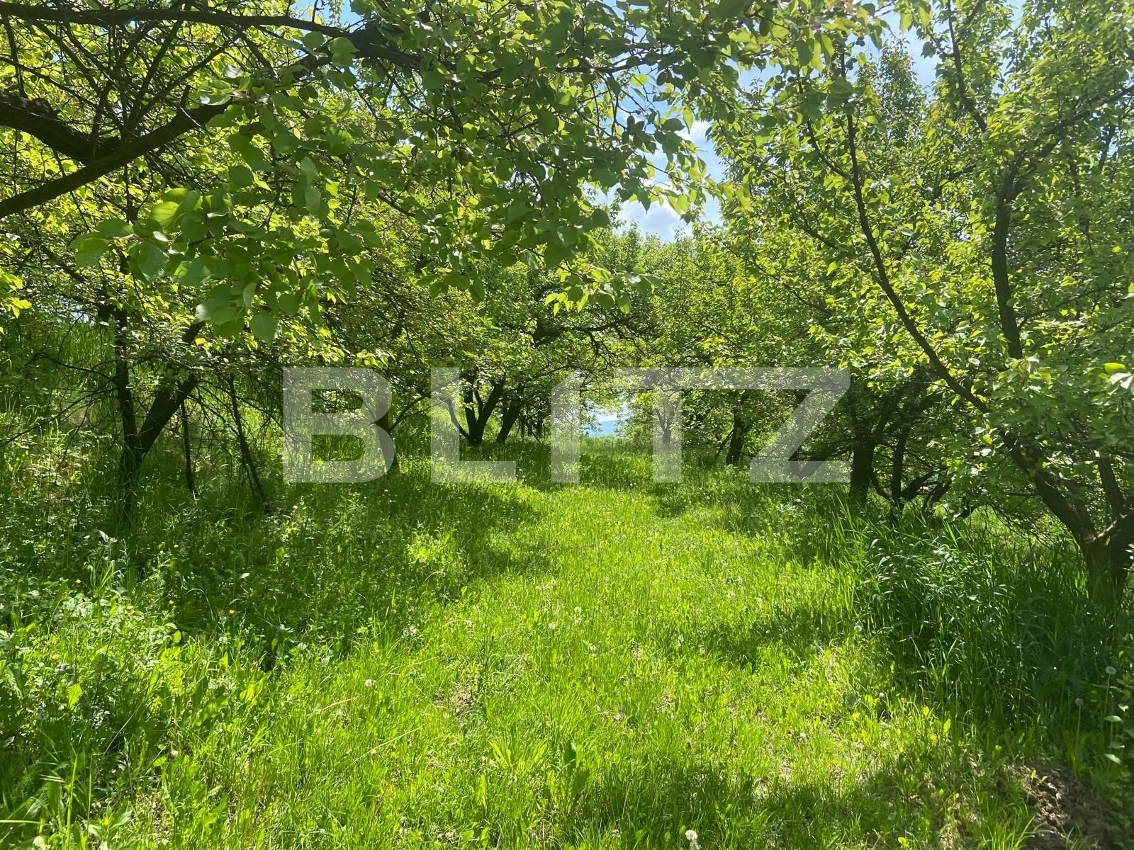 Teren de vânzare Podgoria - 86385TV | BLITZ Oradea | Poza6