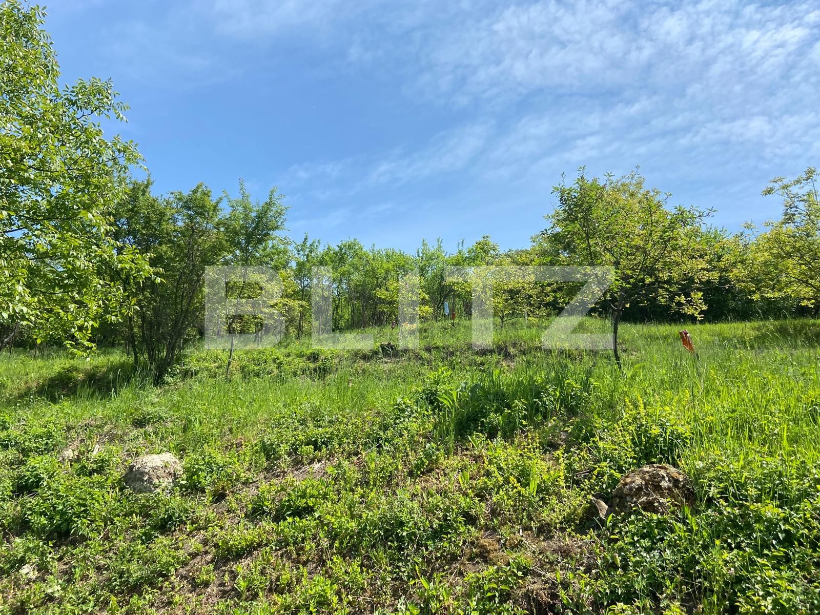 Teren de vânzare Podgoria - 86385TV | BLITZ Oradea | Poza2