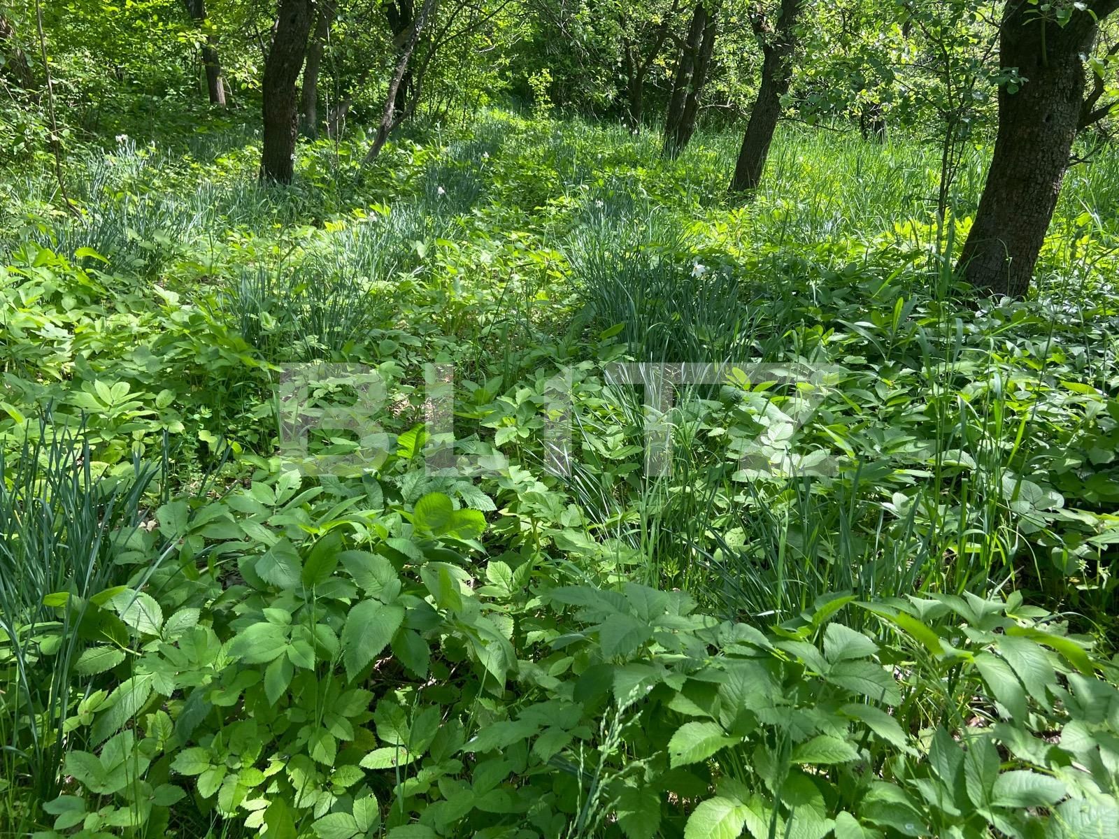 Teren de vânzare Podgoria - 86385TV | BLITZ Oradea | Poza4