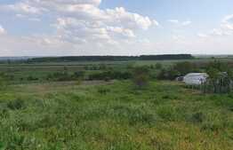 Casă la tara 2 camere in Vaida cu gradina de 2300 mp