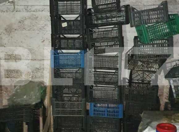 Casa de vânzare 2 camere Nord - 86670CV | BLITZ Oradea | Poza9