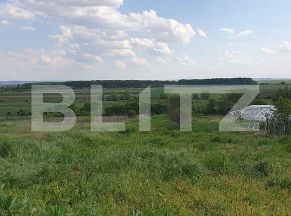 Casa de vânzare 2 camere Nord - 86670CV | BLITZ Oradea | Poza3