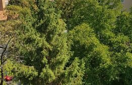 Apartament 2 camere, decomandat, 50 mp utili, etaj 4, Cantemir