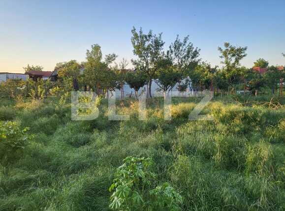 Casa de vânzare 4 camere Santandrei - 86828CV | BLITZ Oradea | Poza6