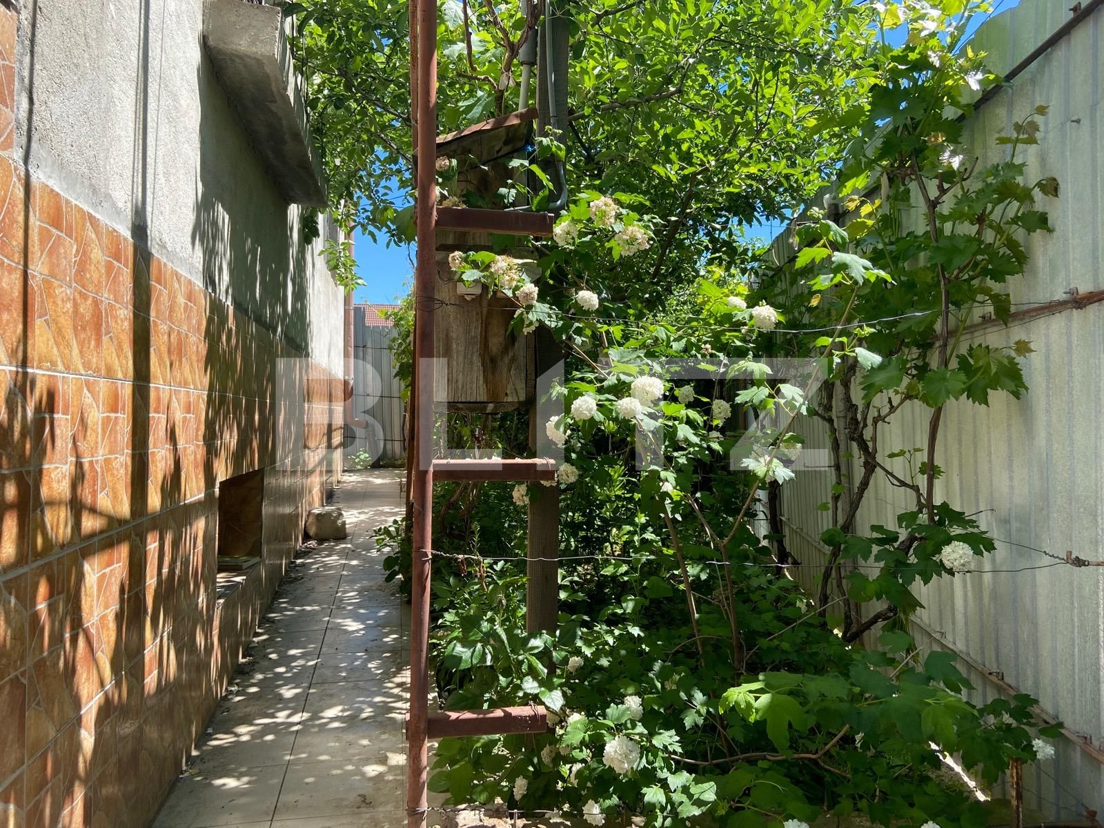 Casa de vânzare 3 camere Dealuri Oradea - 86833CV | BLITZ Oradea | Poza14