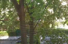 Apartament de două camere, 46 mp, etaj 2, zona Rogerius