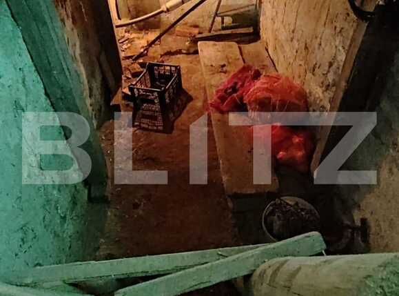 Casa de vânzare 1 camera Saldabagiu de Munte - 87008CV | BLITZ Oradea | Poza3