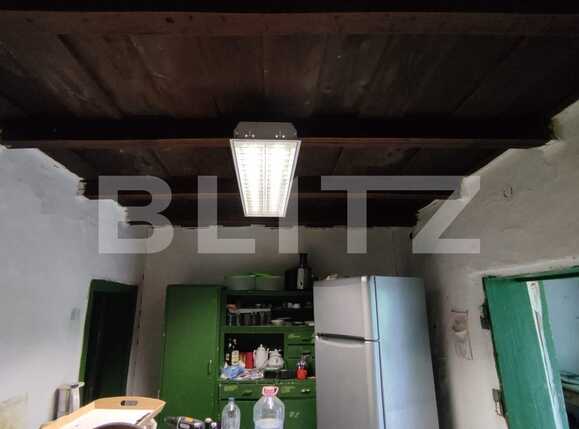 Casa de vânzare 1 camera Saldabagiu de Munte - 87008CV | BLITZ Oradea | Poza4