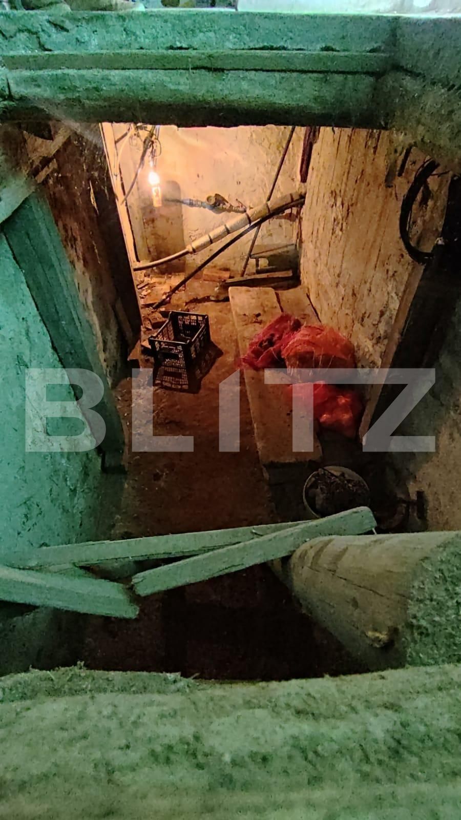 Casa de vânzare 1 camera Saldabagiu de Munte - 87008CV | BLITZ Oradea | Poza3