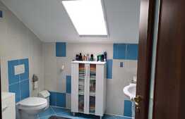 Vilă cu 5 dormitoare în Beverly Hills - Sanmartin, piscină, 1100 mp teren