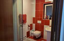 Vilă cu 5 dormitoare în Beverly Hills - Sanmartin, piscină, 1100 mp teren