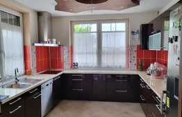 Vilă cu 5 dormitoare în Beverly Hills - Sanmartin, piscină, 1100 mp teren