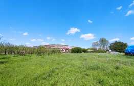 Teren intravilan, 3000 mp, Betfia