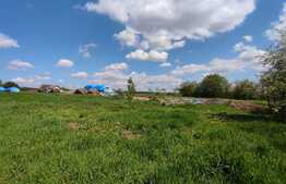 Teren intravilan, 3000 mp, Betfia