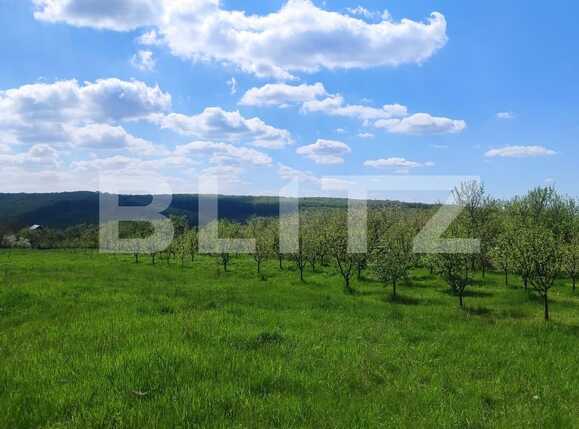 Teren de vânzare Betfia - 87334TV | BLITZ Oradea | Poza1