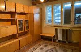 Casă cu etaj de 4 camere, 200 mp, mobilat/utilat, zona Beldiceanu la 3 minute de Crisul