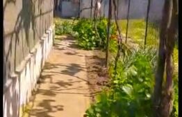 Casă cu etaj de 4 camere, 200 mp, mobilat/utilat, zona Beldiceanu la 3 minute de Crisul