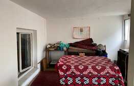 Casă cu etaj de 4 camere, 200 mp, mobilat/utilat, zona Beldiceanu la 3 minute de Crisul