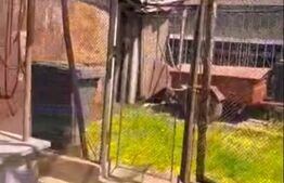 Casă cu etaj de 4 camere, 200 mp, mobilat/utilat, zona Beldiceanu la 3 minute de Crisul