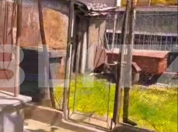 Casa de vânzare 4 camere Iorga - 87540CV | BLITZ Oradea | Poza19