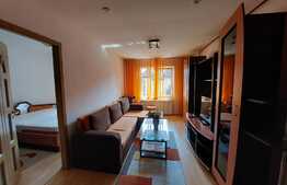 Apartament 2 camere, 47 mp, parter inalt, zona Cantemir