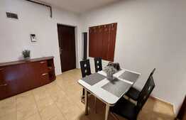 Apartament 2 camere, 47 mp, parter inalt, zona Cantemir