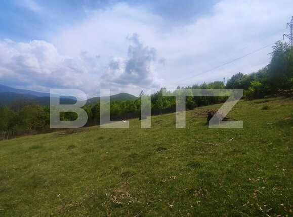 Teren de vânzare Exterior Sud - 87792TV | BLITZ Oradea | Poza2