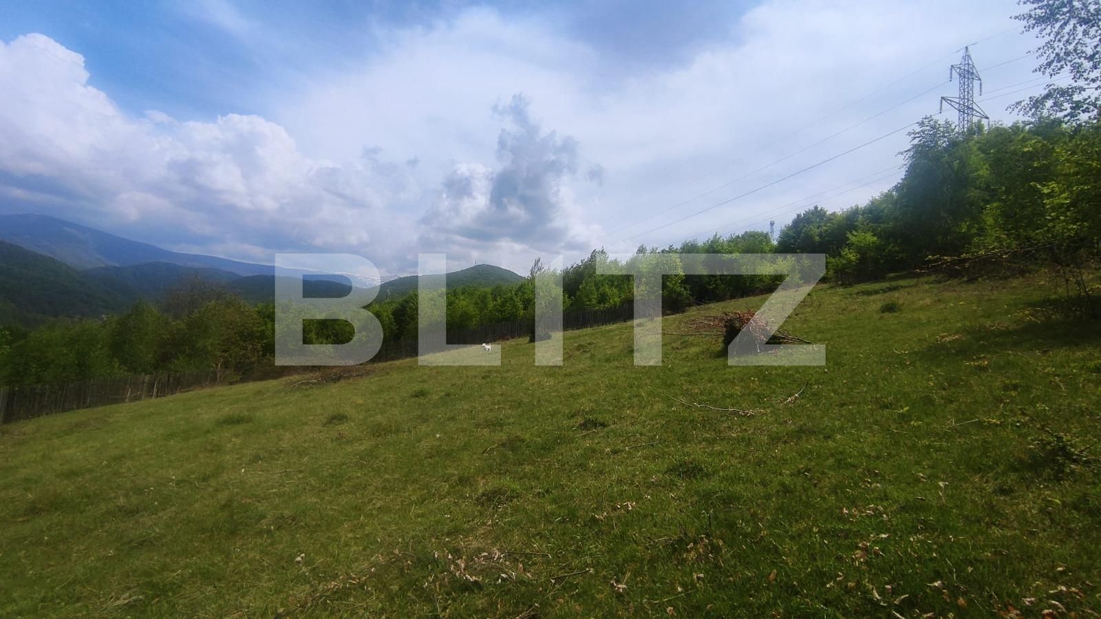 Teren de vânzare Exterior Sud - 87792TV | BLITZ Oradea | Poza2