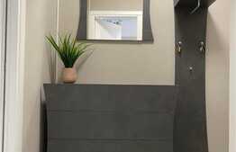 Apartament de o camera, 31 mp, semidecomandat, zona Aluminei