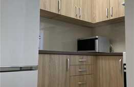 Apartament de o camera, 31 mp, semidecomandat, zona Aluminei