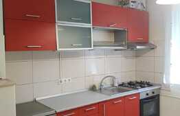 Apartament de 2 camere, 48 mp, etaj 1, zona Rogerius