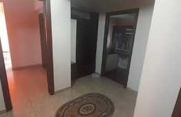 Apartament de 2 camere, etaj intermediar, dubla orientare, Nufarul