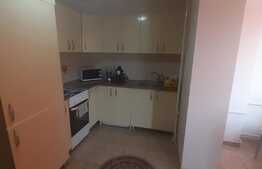 Apartament de 2 camere, etaj intermediar, dubla orientare, Nufarul