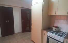 Apartament de 2 camere, etaj intermediar, dubla orientare, Nufarul