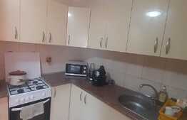 Apartament de 2 camere, etaj intermediar, dubla orientare, Nufarul