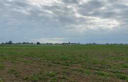Teren arabil de 16000mp in Podgoria/Fughiu
