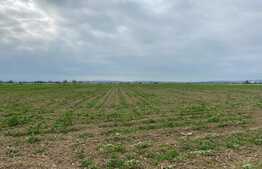 Teren arabil de 16000mp in Podgoria/Fughiu