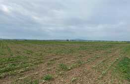 Teren arabil de 16000mp in Podgoria/Fughiu