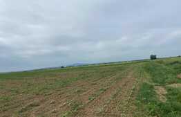 Teren arabil de 16000mp in Podgoria/Fughiu