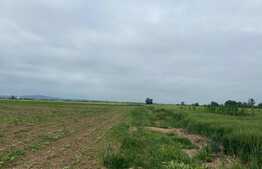 Teren arabil de 16000mp in Podgoria/Fughiu