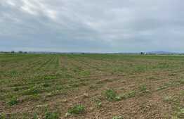Teren arabil de 16000mp in Podgoria/Fughiu