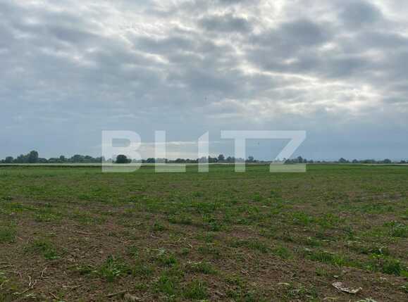 Teren de vânzare Fughiu - 88096TV | BLITZ Oradea | Poza7