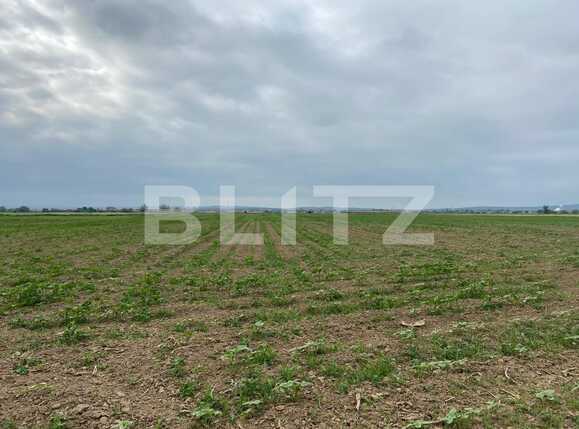 Teren de vânzare Fughiu - 88096TV | BLITZ Oradea | Poza2