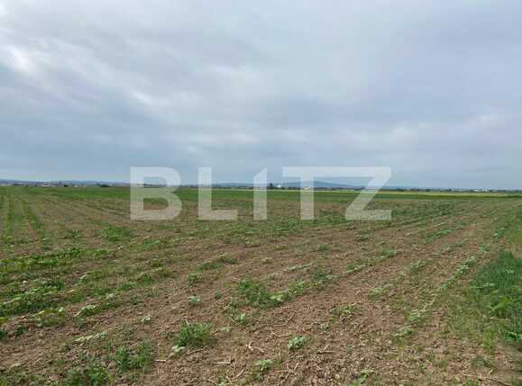 Teren de vânzare Fughiu - 88096TV | BLITZ Oradea | Poza4