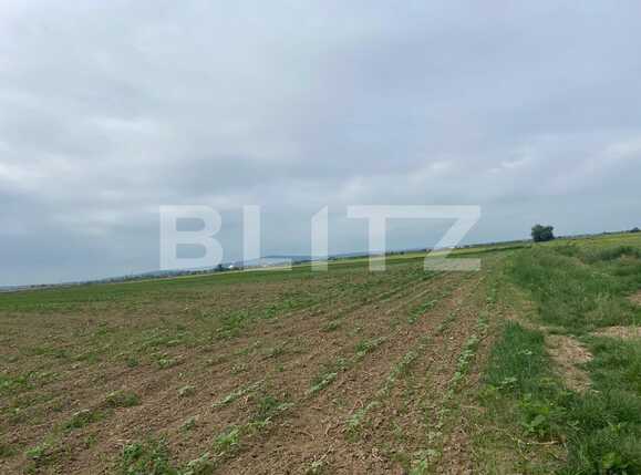 Teren de vânzare Fughiu - 88096TV | BLITZ Oradea | Poza5