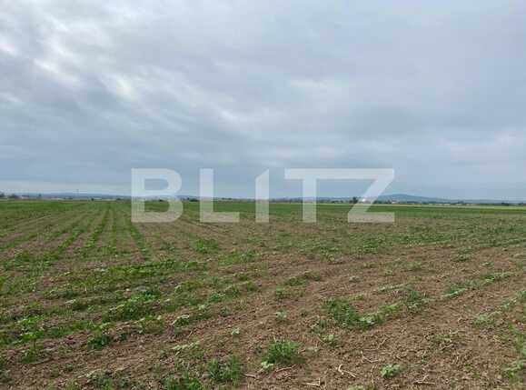 Teren de vânzare Fughiu - 88096TV | BLITZ Oradea | Poza3