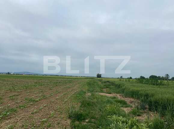 Teren de vânzare Fughiu - 88096TV | BLITZ Oradea | Poza8