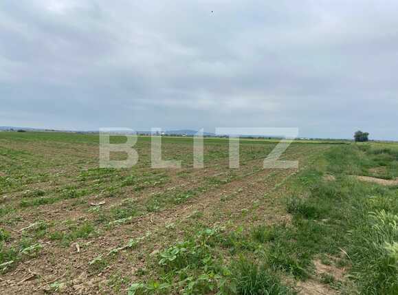 Teren de vânzare Fughiu - 88096TV | BLITZ Oradea | Poza1
